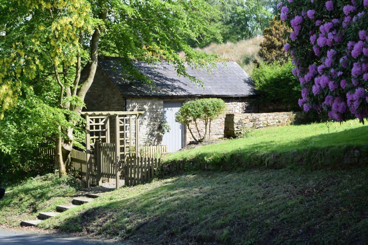 The Bothy At Ivy Cottage Халтвисл Экстерьер фото